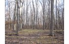 Property photo 24 - 44 Acres Offered in 3 Tracts